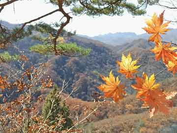 鳳凰古城探秘，深度旅游攻略，領(lǐng)略獨特文化魅力