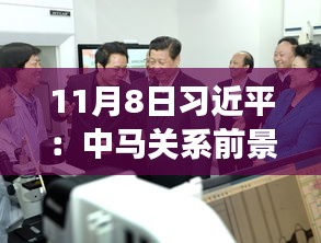 11月8日習近平：中馬關系前景光明 未來可期，11月8日習近平主席談中馬關系，未來光明，前景可期