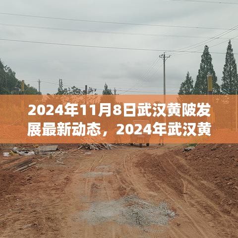 2024年武漢黃陂發(fā)展最新動態(tài)探索，融入?yún)^(qū)域發(fā)展大潮的步伐