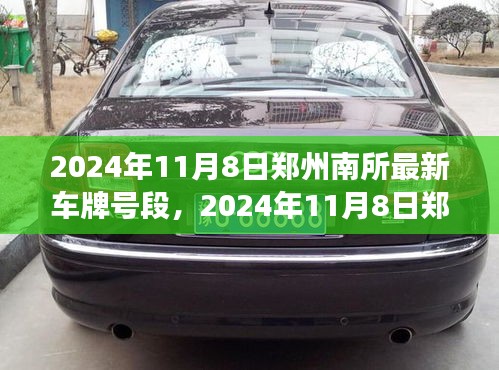 2024年鄭州南所最新車(chē)牌號(hào)段解讀與案例分析