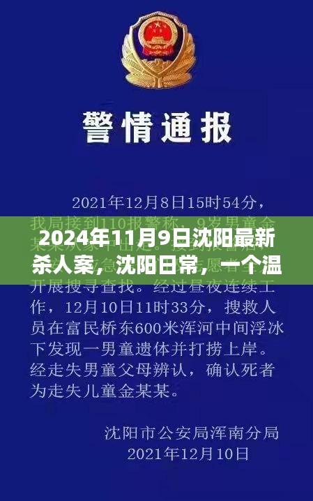 沈陽(yáng)殺人案背后的友情與陪伴故事，日常溫馨背后的真相（2024年）