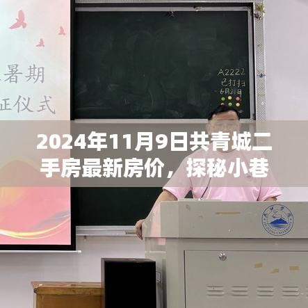 2024年共青城二手房最新房?jī)r(jià)揭秘，小巷特色小店探秘