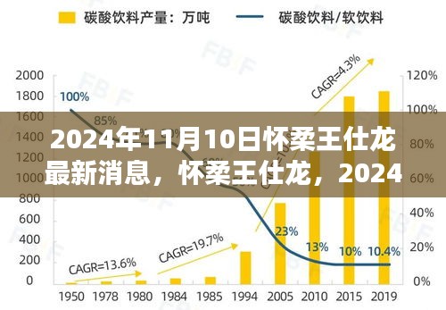 懷柔王仕龍最新動(dòng)態(tài)與深遠(yuǎn)影響力揭曉，2024年11月10日更新