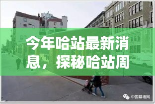 哈站周邊小巷隱藏一家特色小店，獨特環(huán)境驚艷亮相，等你來探秘！