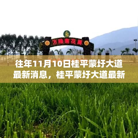 桂平蒙圩大道最新動態(tài)獲取全攻略，輕松掌握最新消息動態(tài)