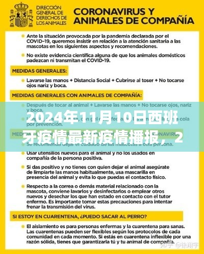 西班牙疫情最新播報解讀指南，2024年11月10日最新播報與解讀