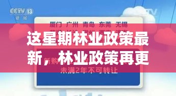 林業(yè)政策最新動向，本周更新及其時(shí)代影響力分析