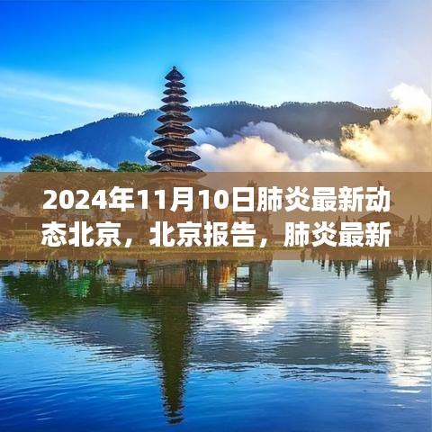 北京肺炎最新動(dòng)態(tài)深度觀察，報(bào)告與影響，2024年11月10日最新進(jìn)展