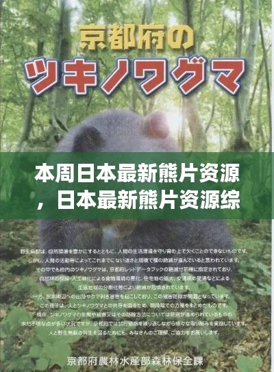 日本最新熊片資源綜述，背景、進(jìn)展與特定領(lǐng)域地位探討