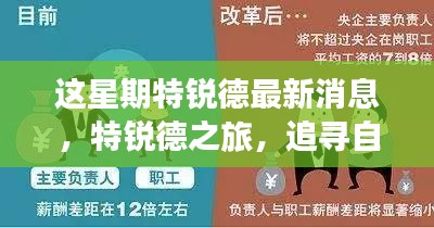 特銳德最新動(dòng)態(tài)，追尋自然之旅，重拾內(nèi)心寧?kù)o的旅程