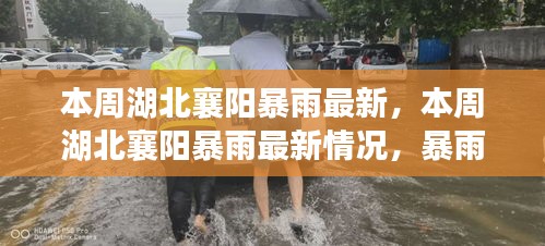 湖北襄陽本周暴雨最新情況，影響、應(yīng)對(duì)措施全解析