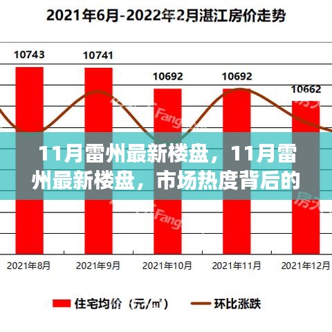 市場熱度背后的深度解讀與個人立場，11月雷州最新樓盤觀察