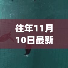 政策法規(guī) 第175頁