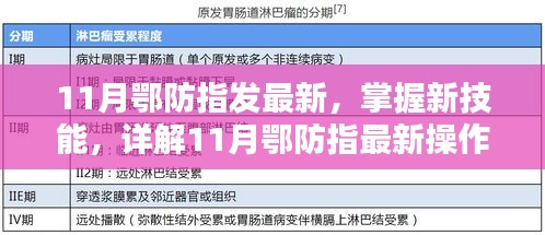 11月鄂防指最新操作流程步驟指南，掌握新技能的詳解