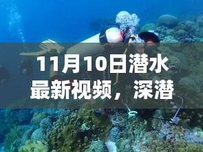 揭秘深潛新紀(jì)元，潛水最新視頻的時代意義與影響（11月10日更新）