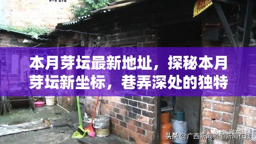 探秘本月芽壇新坐標(biāo)，巷弄深處的獨(dú)特小店最新地址揭秘