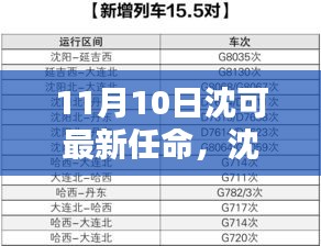 沈可新任命的背后，背景、影響與時(shí)代地位分析（最新更新）