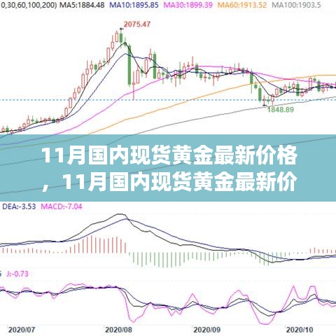 11月國內(nèi)現(xiàn)貨黃金最新價(jià)格深度解析與全面評(píng)測報(bào)告