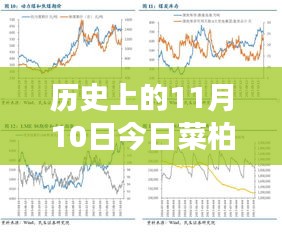 歷史上的11月10日，菜柏價(jià)格背后的勵(lì)志故事與最新行情，自信成就感的源泉