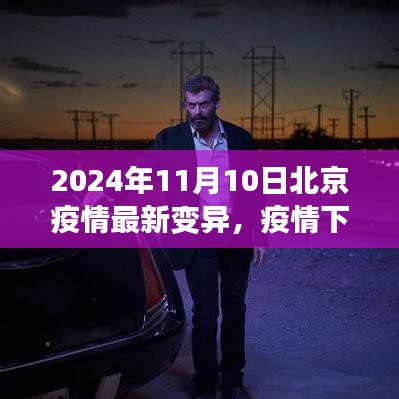 北京疫情最新變異下的溫情與友情日常，2024年11月10日最新觀察