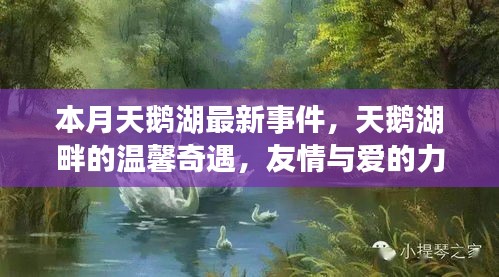 本月天鵝湖畔的溫馨奇遇，友情與愛的力量的展現(xiàn)