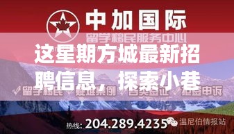 方城最新招聘信息揭秘，小巷秘境與獨特小店之旅