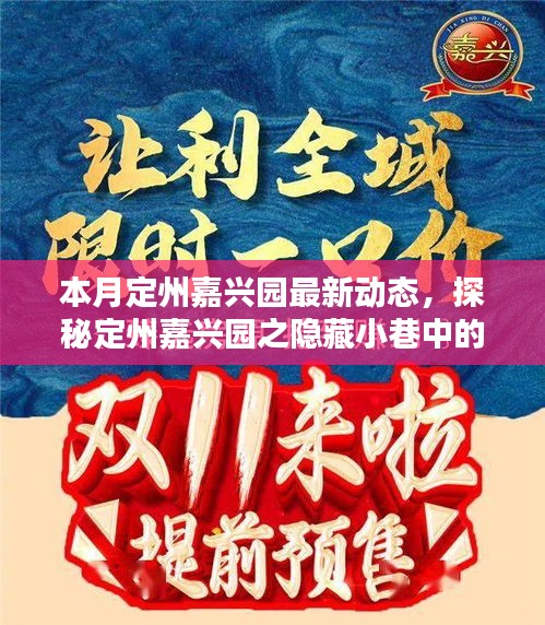 本月定州嘉興園最新動(dòng)態(tài)，探秘隱藏小巷的獨(dú)特風(fēng)味——新鮮打卡指南