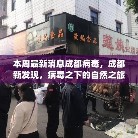 成都病毒新發(fā)現(xiàn)，自然之旅中的心靈港灣探尋