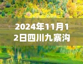 2024年11月12日四川九寨溝最新情況，自然恢復(fù)與旅游新篇章開啟