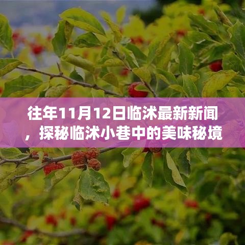 探秘臨沭小巷美味秘境，11月12日臨沭最新新聞中的隱藏美食店揭秘