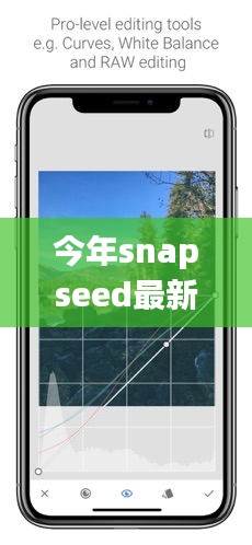 Snapseed最新版下載，回顧發(fā)展歷程，時代印記下的影響與地位