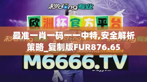 最準一肖一碼一一中特,安全解析策略_復制版FUR876.65