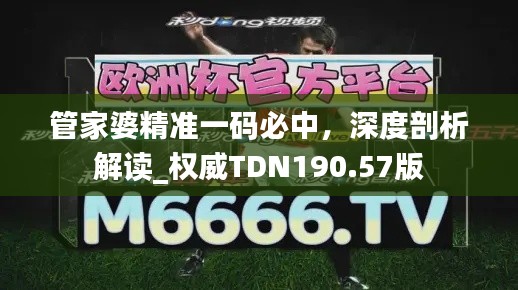 管家婆精準(zhǔn)一碼必中，深度剖析解讀_權(quán)威TDN190.57版