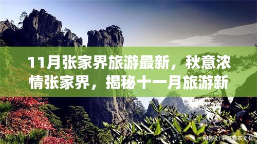 揭秘十一月張家界秋意濃情，最新旅游指南開(kāi)啟新篇章