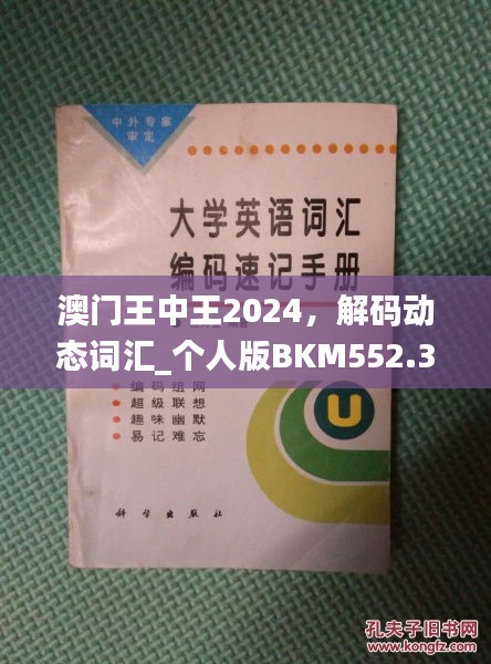 澳門王中王2024，解碼動(dòng)態(tài)詞匯_個(gè)人版BKM552.33指南