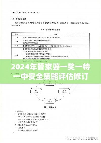 2024年管家婆一獎(jiǎng)一特一中安全策略評(píng)估修訂版PGE277.6