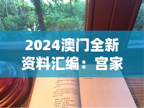 2024澳門全新資料匯編：宮家婆時(shí)代詳解，圣尊IPV699.26詳述