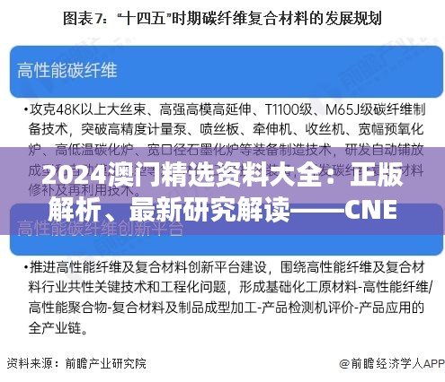 2024澳門精選資料大全：正版解析、最新研究解讀——CNE350.58可變版