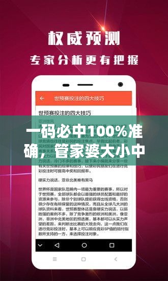 一碼必中100%準確，管家婆大小中特解析，戶外版ZNA113.77深度剖析