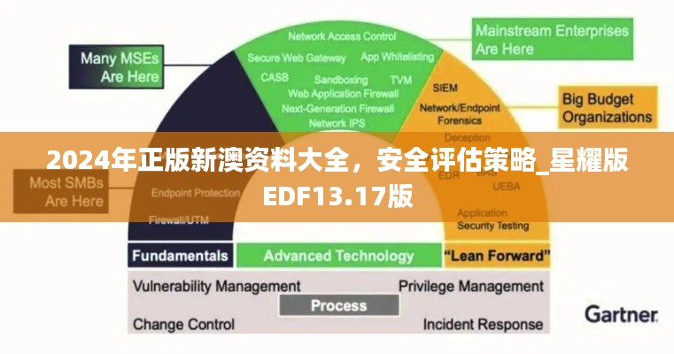 2024年正版新澳資料大全，安全評估策略_星耀版EDF13.17版