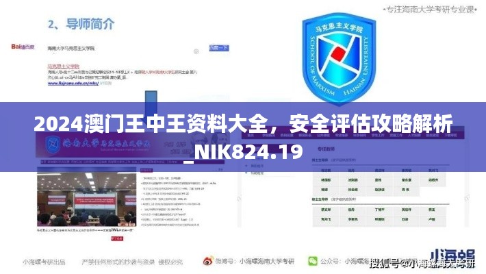 2024澳門王中王資料大全，安全評(píng)估攻略解析_NIK824.19