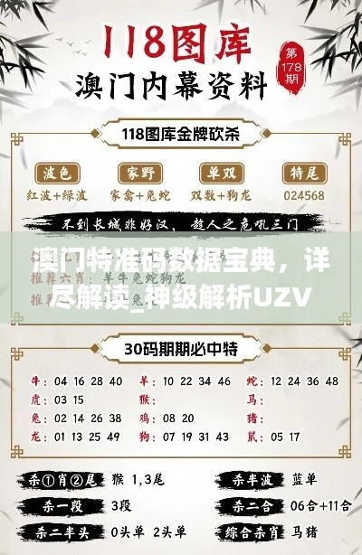 澳門特準碼數(shù)據(jù)寶典，詳盡解讀_神級解析UZV444.11