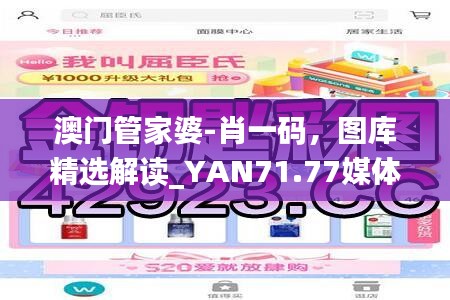 澳門管家婆-肖一碼，圖庫精選解讀_YAN71.77媒體版