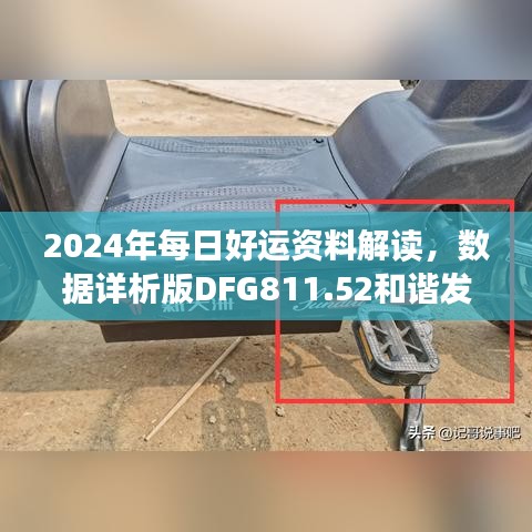 2024年每日好運(yùn)資料解讀，數(shù)據(jù)詳析版DFG811.52和諧發(fā)布