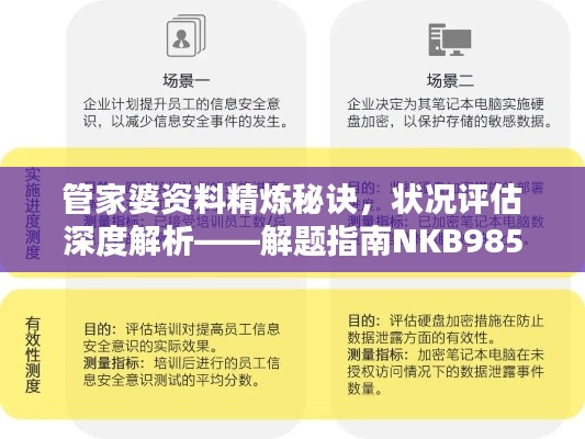 管家婆資料精煉秘訣，狀況評估深度解析——解題指南NKB985.33