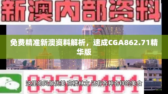 免費(fèi)精準(zhǔn)新澳資料解析，速成CGA862.71精華版