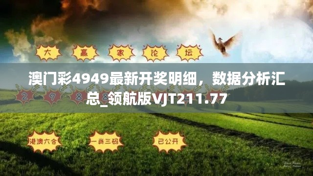 澳門彩4949最新開獎明細(xì)，數(shù)據(jù)分析匯總_領(lǐng)航版VJT211.77