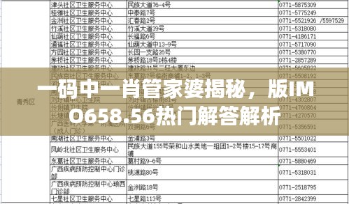 一碼中一肖管家婆揭秘，版IMO658.56熱門解答解析