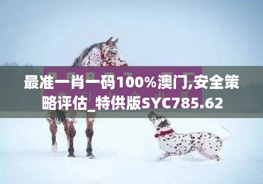 最準(zhǔn)一肖一碼100%澳門,安全策略評估_特供版SYC785.62