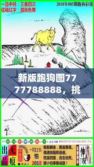 新版跑狗圖7777788888，挑戰(zhàn)TDM565.02資料解析